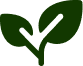 Leaf icon